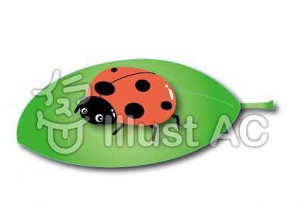 f:id:sikinomori117:20190618145249j:plain f:id:sikinomori117:20190618145249j:plain