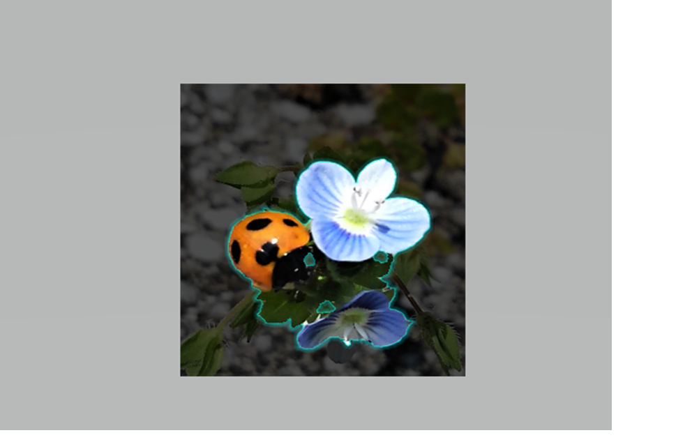 f:id:sikinomori117:20201211214817p:plain