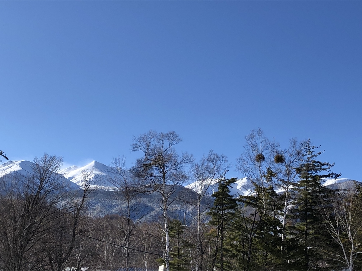 f:id:silencesei1113:20200523224848j:plain f:id:silencesei1113:20200523224848j:plain
