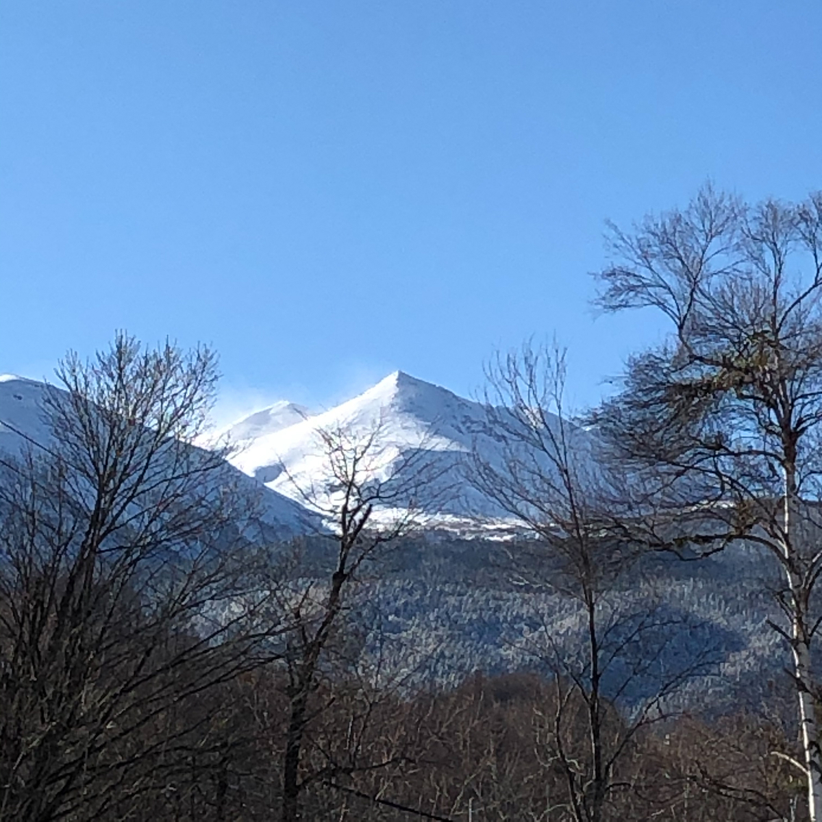 f:id:silencesei1113:20200523225914j:plain f:id:silencesei1113:20200523225914j:plain
