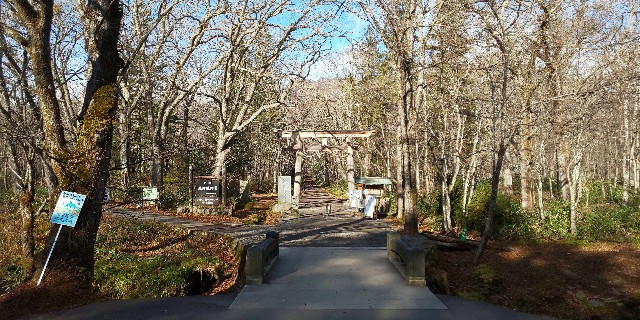 f:id:silent-sheep11:20201126191558j:image f:id:silent-sheep11:20201126191558j:image