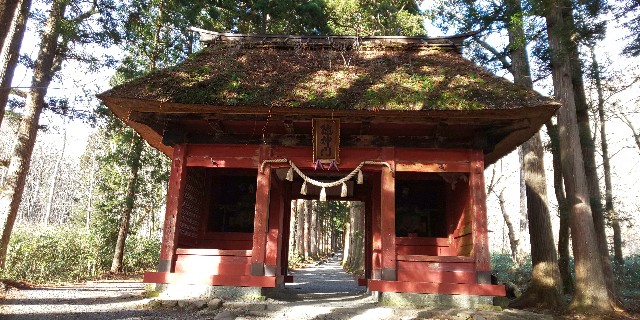 f:id:silent-sheep11:20201126191622j:image f:id:silent-sheep11:20201126191622j:image