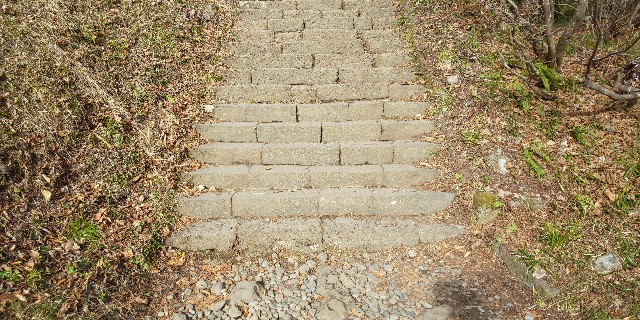 f:id:silent-sheep11:20201126191733j:image f:id:silent-sheep11:20201126191733j:image