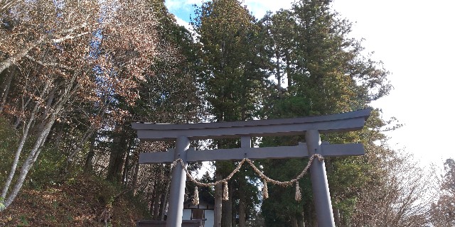 f:id:silent-sheep11:20201126191940j:image f:id:silent-sheep11:20201126191940j:image