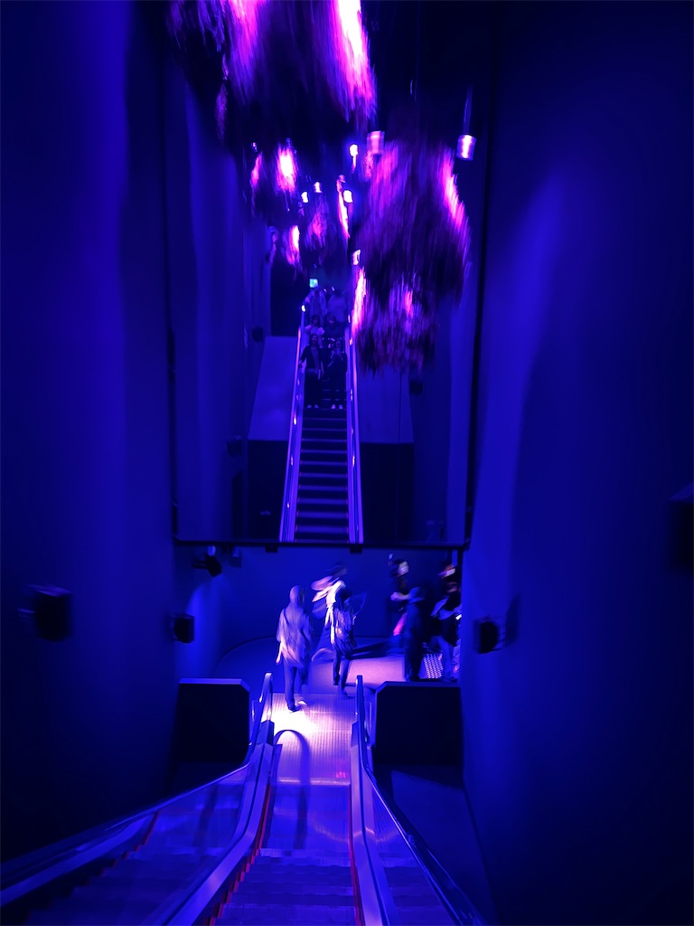 f:id:silk-diary:20250706222712j:image