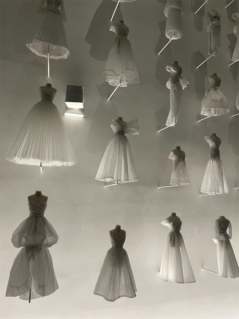 f:id:silk-diary:20250706222719j:image