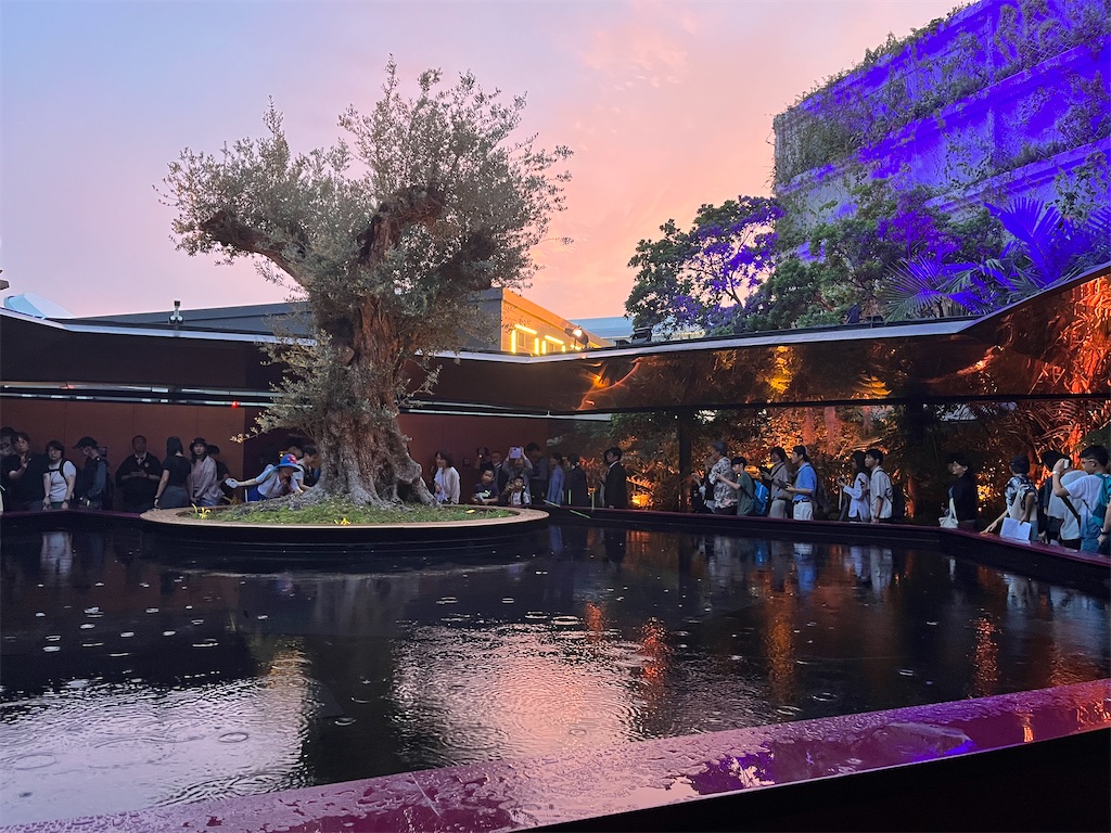 f:id:silk-diary:20250706222745j:image