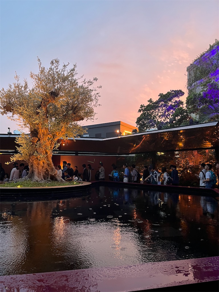 f:id:silk-diary:20250706222751j:image