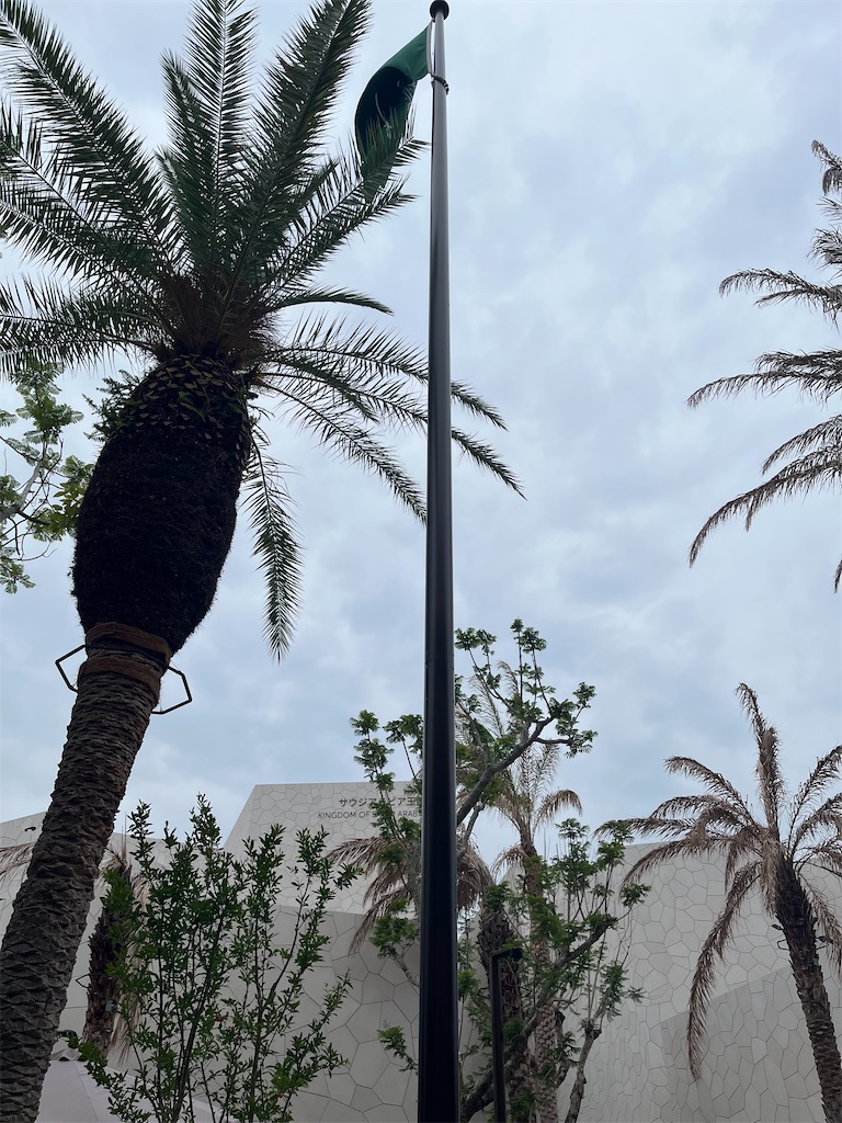 f:id:silk-diary:20250706222856j:image