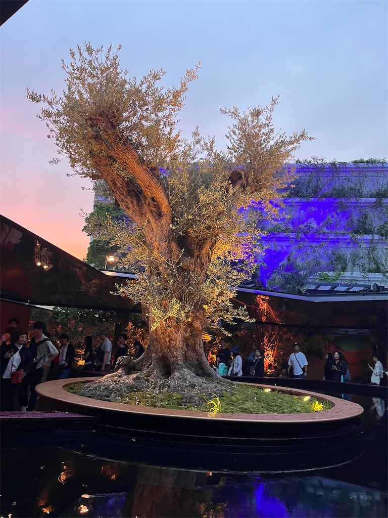 f:id:silk-diary:20250706222934j:image