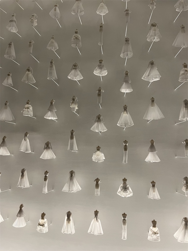 f:id:silk-diary:20250706222941j:image