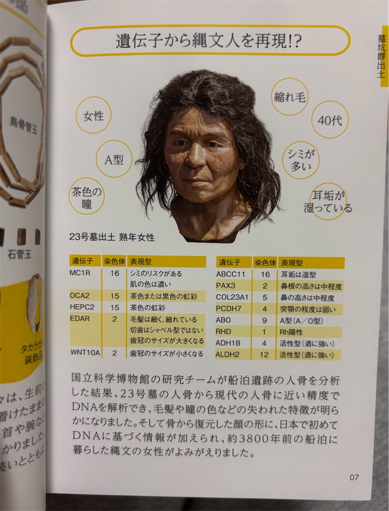 f:id:silk-diary:20250902235412j:image