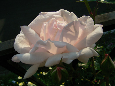 f:id:silk-y:20090520111412j:image