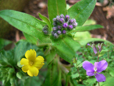 f:id:silk-y:20110320160521j:image f:id:silk-y:20110320160521j:image