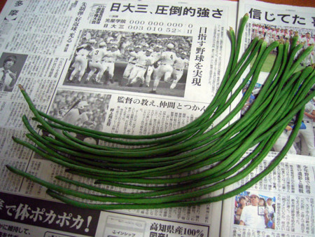 f:id:silk-y:20110821163003j:image f:id:silk-y:20110821163003j:image