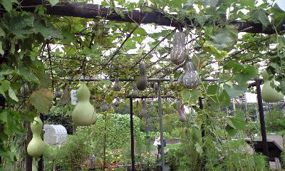f:id:silk-y:20110904172640j:image