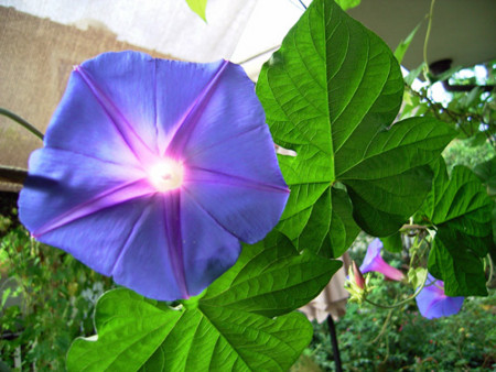 f:id:silk-y:20110907230324j:image f:id:silk-y:20110907230324j:image
