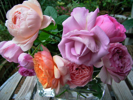 f:id:silk-y:20111018175751j:image f:id:silk-y:20111018175751j:image