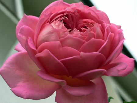 f:id:silk-y:20111105200514j:image:w500 f:id:silk-y:20111105200514j:image:w500