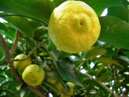 f:id:silk-y:20111122170727j:image:w500 f:id:silk-y:20111122170727j:image:w500