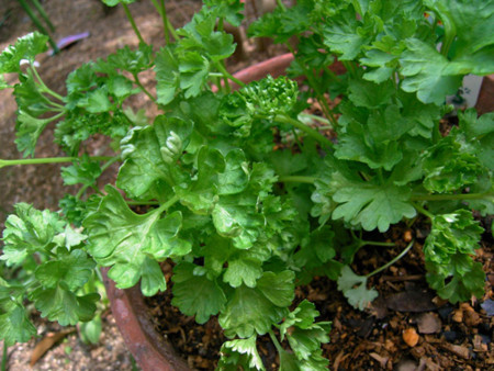 f:id:silk-y:20120316163111j:image:w220 f:id:silk-y:20120316163111j:image:w220