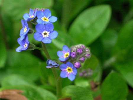 f:id:silk-y:20120330164727j:image:w250 f:id:silk-y:20120330164727j:image:w250