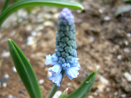 f:id:silk-y:20120330164729j:image:w250 f:id:silk-y:20120330164729j:image:w250