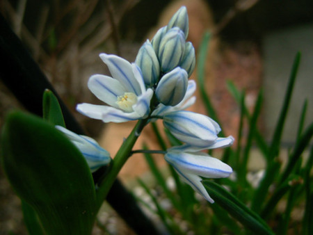 f:id:silk-y:20120330164731j:image:w250 f:id:silk-y:20120330164731j:image:w250