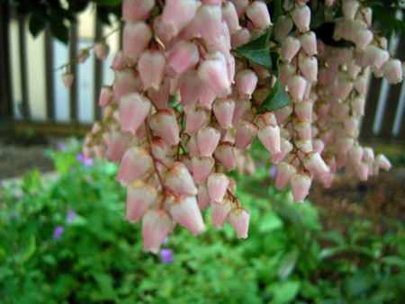 f:id:silk-y:20120402105716j:image