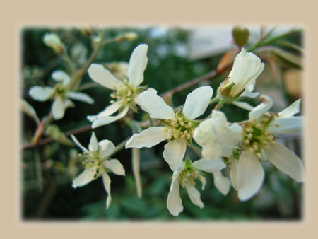 f:id:silk-y:20120412201404j:image:w500 f:id:silk-y:20120412201404j:image:w500