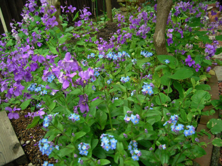 f:id:silk-y:20120419091315j:image