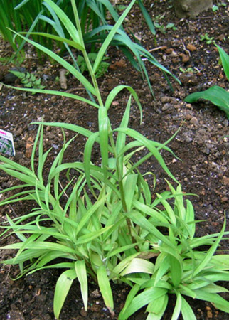 f:id:silk-y:20120420211615j:image f:id:silk-y:20120420211615j:image