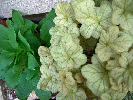 f:id:silk-y:20120426212245j:image