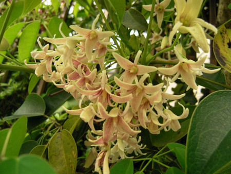 f:id:silk-y:20120501204307j:image:w220 f:id:silk-y:20120501204307j:image:w220