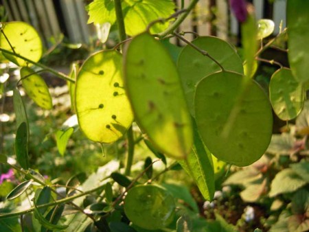 f:id:silk-y:20120510201210j:image:w400