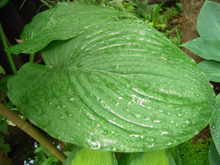 f:id:silk-y:20120515093947j:image f:id:silk-y:20120515093947j:image