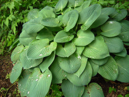 f:id:silk-y:20120515093948j:image f:id:silk-y:20120515093948j:image
