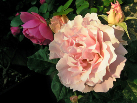 f:id:silk-y:20120527204432j:image