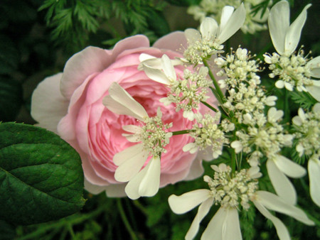 f:id:silk-y:20120527204435j:image f:id:silk-y:20120527204435j:image