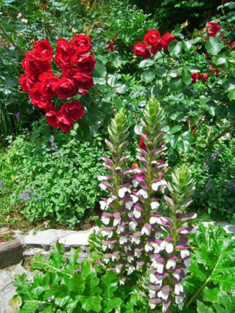 f:id:silk-y:20120613103924j:image:w300 f:id:silk-y:20120613103924j:image:w300