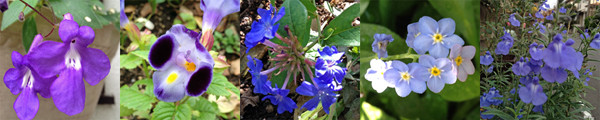 f:id:silk-y:20121028205150j:image f:id:silk-y:20121028205150j:image