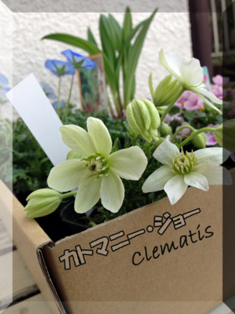 f:id:silk-y:20130317202659j:image:w250
