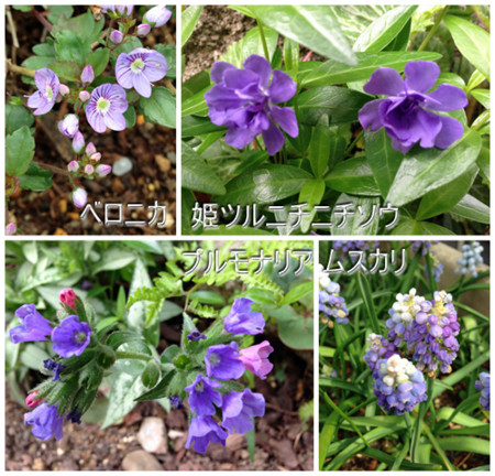 f:id:silk-y:20130410204633j:image:w400