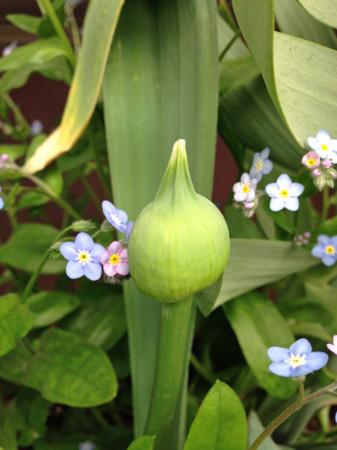 f:id:silk-y:20130421132057j:image:w250