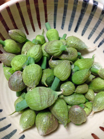 f:id:silk-y:20130421132540j:image:w250 f:id:silk-y:20130421132540j:image:w250