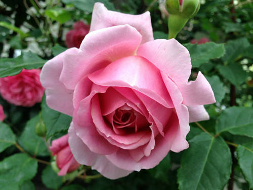 f:id:silk-y:20130522233238j:image:w300 f:id:silk-y:20130522233238j:image:w300