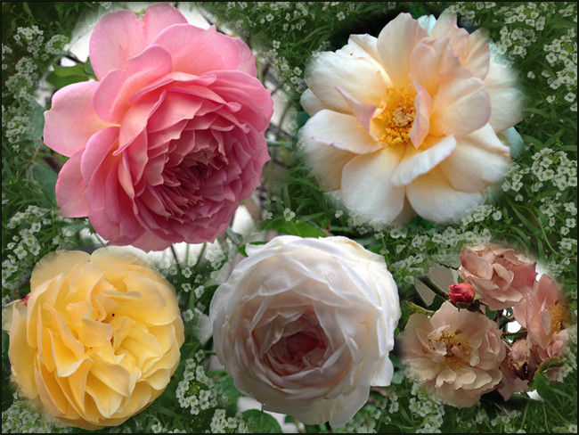 f:id:silk-y:20141028194223j:image:w500 f:id:silk-y:20141028194223j:image:w500