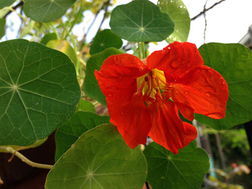 f:id:silk-y:20141102203435j:image:w250 f:id:silk-y:20141102203435j:image:w250