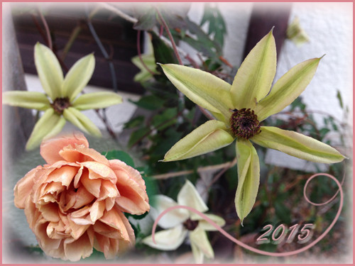 f:id:silk-y:20150102125319j:image:w400 f:id:silk-y:20150102125319j:image:w400