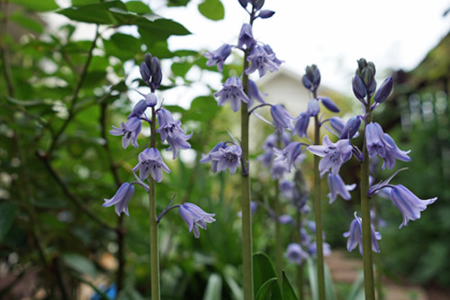 f:id:silk-y:20150429195529j:image:w250